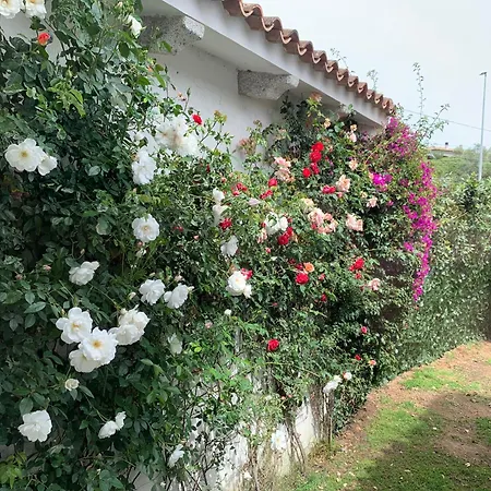 Prázdninový dům Domus La Castagna Porto San Paolo (Sardinia)